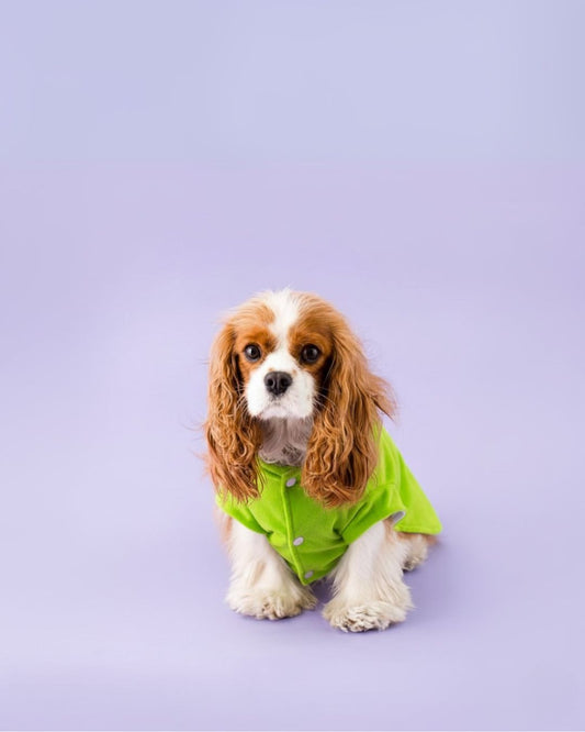 DISFRAZ MIKE WAZOWSKI