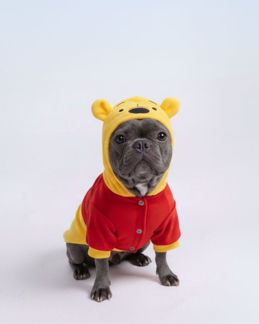 DISFRAZ WINNIE POOH